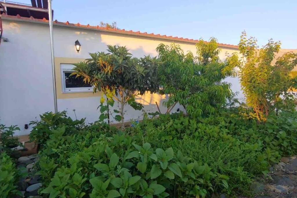 Cape Maleas Villa Agios Nikolaos  ภายนอก รูปภาพ